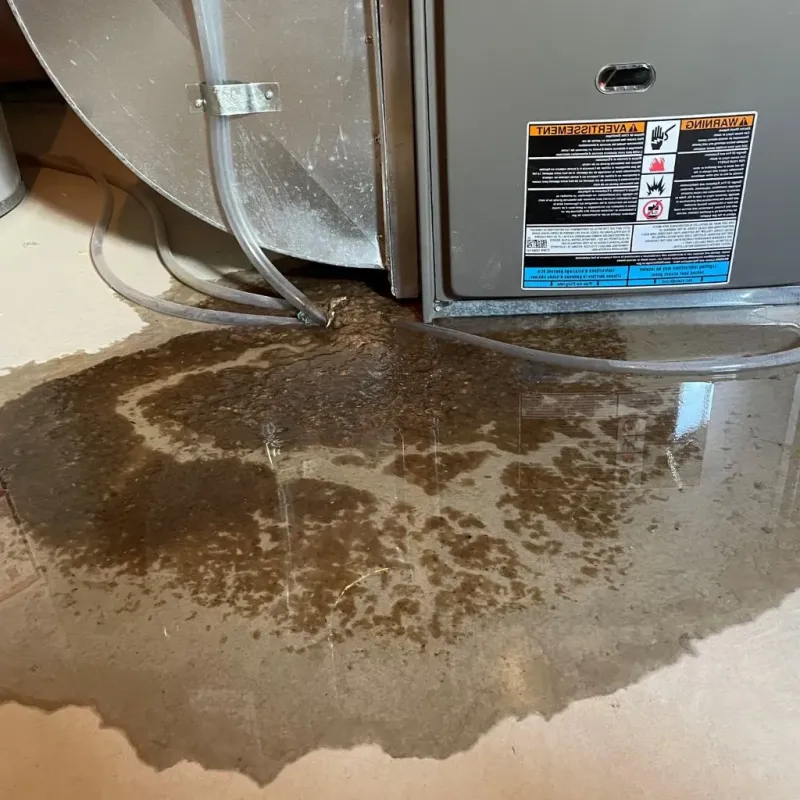 Pipe Burst and Leak Restoration in Ogden, UT